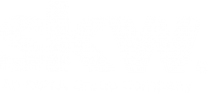 SKW Logo